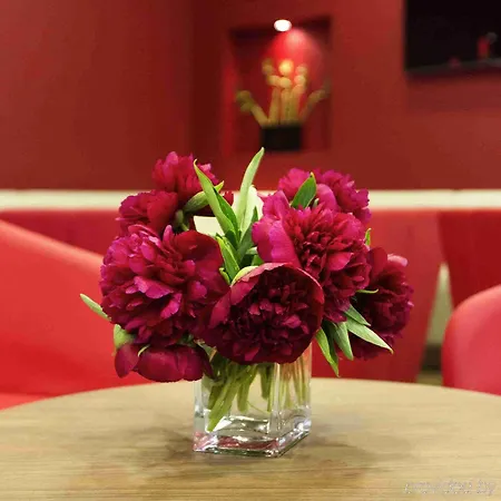 酒店 Ibis Styles 维尔纽斯